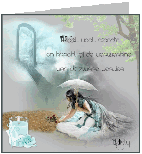 psp lessen mistys-creations.nl